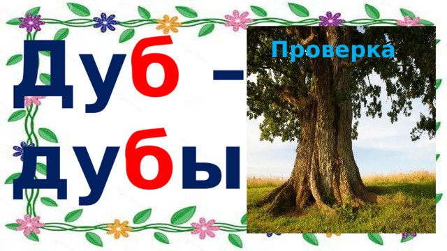 Ду б – ду б ы Проверка 