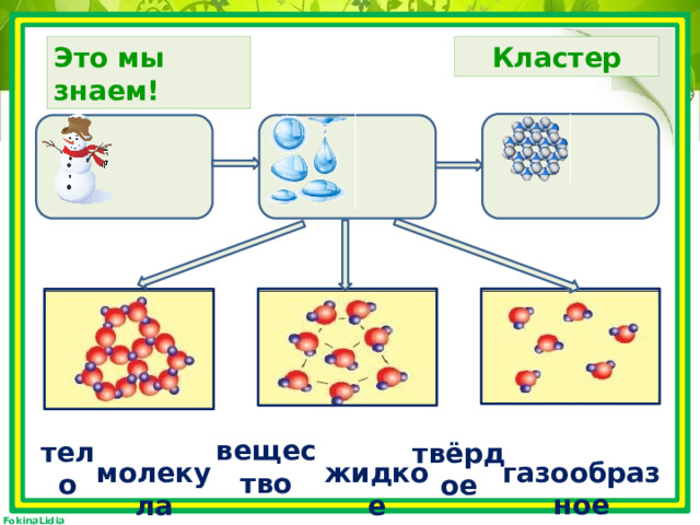 Кластер Это мы знаем! вещество тело твёрдое газообразное молекула жидкое 