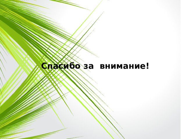 Спасибо за внимание! 