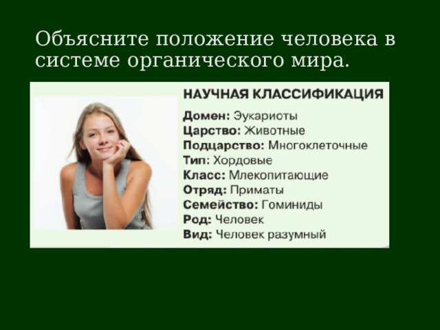 Объясните положение человека в системе органического мира. 