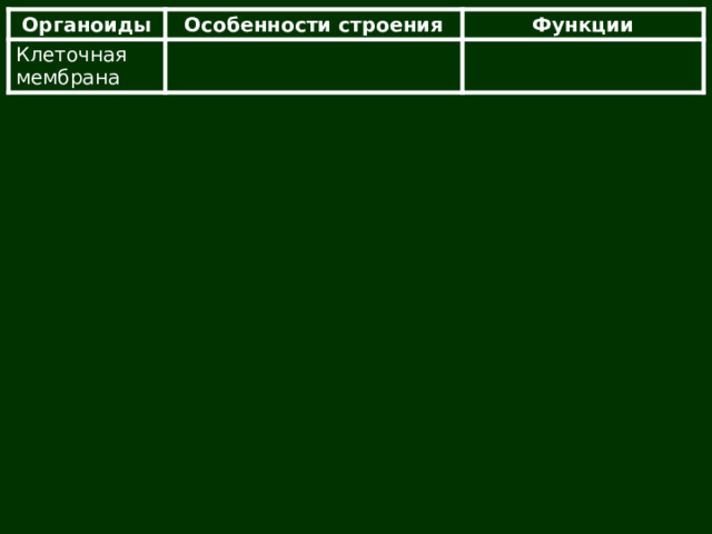 Органоиды Клеточная мембрана Особенности строения Функции 