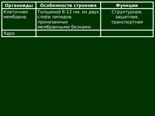 Органоиды Клеточная мембрана Особенности строения Ядро Функции Толщиной 8-12 нм, из двух слоёв липидов, пронизанных мембранными белками Структурная, защитная, транспортная 