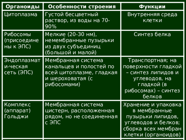Органоиды Цитоплазма Особенности строения Рибосомы (присоединены к ЭПС) Функции Густой бесцветный раствор, из воды на 70-90% Внутренняя среда клетки Мелкие (20-30 нм), немембранные пузырьки из двух субъединиц (большой и малой) Эндоплазмати-ческая сеть (ЭПС) Синтез белка Комплекс (аппарат) Гольджи Мембранная система канальцев и полостей по всей цитоплазме, гладкая и шероховатая (с рибосомами) Транспортная; на поверхности гладкой – синтез липидов и углеводов, на гладкой (в рибосомах) – синтез белков Мембранная система цистерн, расположенная рядом, но не соединенная с ЭПС Лизосомы Хранение и упаковка в мембранные пузырьки липидов, углеводов и белков; сборка всех мембран клетки (органоидов) 