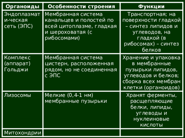 Органоиды Эндоплазмати-ческая сеть (ЭПС) Особенности строения Комплекс (аппарат) Гольджи Функции Мембранная система канальцев и полостей по всей цитоплазме, гладкая и шероховатая (с рибосомами) Транспортная; на поверхности гладкой – синтез липидов и углеводов, на гладкой (в рибосомах) – синтез белков Мембранная система цистерн, расположенная рядом, но не соединенная с ЭПС Лизосомы Хранение и упаковка в мембранные пузырьки липидов, углеводов и белков; сборка всех мембран клетки (органоидов) Митохондрии Мелкие (0,4-1 нм) мембранные пузырьки Хранят ферменты, расщепляющие белки, липиды, углеводы и нуклеиновые кислоты 