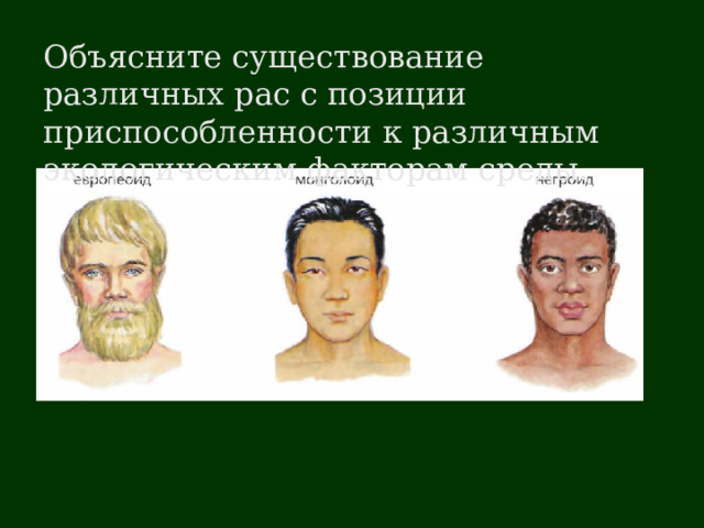 Объясните существование различных рас с позиции приспособленности к различным экологическим факторам среды. 