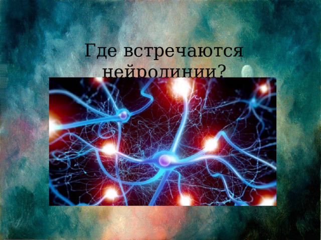 Где встречаются нейролинии? 