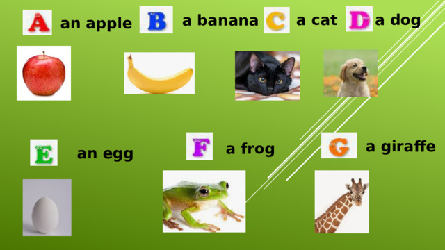 a cat a dog a banana an apple a giraffe a frog an egg 