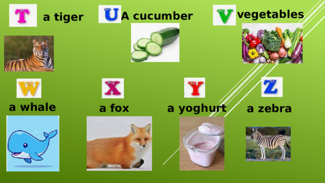 vegetables A cucumber a tiger a whale a yoghurt a fox a zebra 