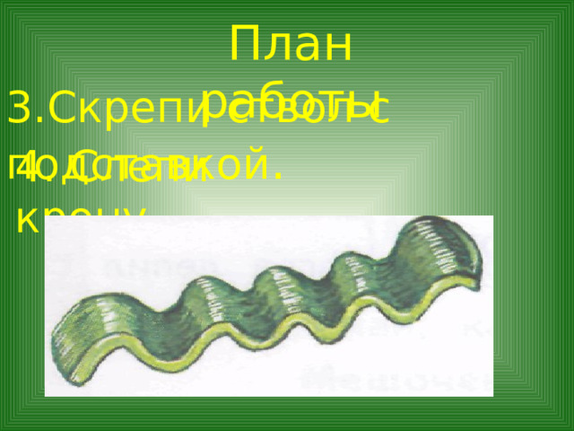 План работы 3.Скрепи ствол с подставкой . 4. Слепи крону. 