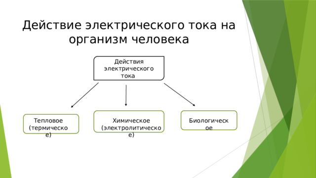 Действие электрического тока на организм человека Действия электрического тока Тепловое Химическое Биологическое (термическое) (электролитическое) 