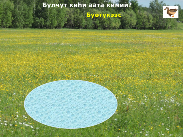 Булчут киhи аата кимий? Бүөтүкээс 