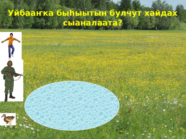 Уйбааҥка быhыытын булчут хайдах сыаналаата? 