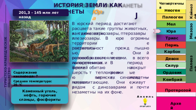 Четвертичный ИСТОРИЯ  ЗЕМЛИ  КАК  ПЛАНЕТЫ Кайнозой Неоген Юра 201,3  -  145  млн  лет  назад J Палеоген В  юрский  период  достигают  расцвета такие  группы  животных,  как  динозавры, Мел Мезозой ТУРИСТСКО-КРАЕВЕДЧЕСКОЕ  ОБЩЕСТВО Юра а  также  ихтиозавры,  птерозавры  и плезиозавры.   В  юре территории  покрылись огромные пышной всего Триас Пермь прежде лесами. растительностью, разнообразными Карбон Они  в Палеозой основном  состояли  из  папоротников  и Девон голосеменных.  В  юрский период  на мелкие, Силур обитают Земле шерстью потомки покрытые животные, Ордовик теплокровные Содержание  кислорода:  ? пермских  синапсид  — Кембрий Средняя  температура: 20 °C млекопитающие.  Они  живут  рядом  с динозаврами  и  почти  незаметны  на  их фоне. Протерозой Каменный  уголь,  нефть, горючие  сланцы, фосфориты Архей 