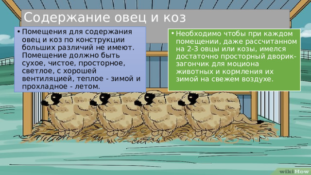 Содержание овец и коз Помещения для содержания овец и коз по конструкции больших различий не имеют. Помещение должно быть сухое, чистое, просторное, светлое, с хорошей вентиляцией, теплое - зимой и прохладное - летом. Необходимо чтобы при каждом помещении, даже рассчитанном на 2-3 овцы или козы, имелся достаточно просторный дворик-загончик для моциона животных и кормления их зимой на свежем воздухе. 
