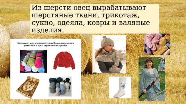 Из шерсти овец вырабатывают шерстяные ткани, трикотаж, сукно, одеяла, ковры и валяные изделия. 
