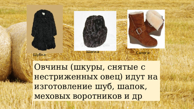Шапка Сапоги Шубка Овчины (шкуры, снятые с нестриженных овец) идут на изготовление шуб, шапок, меховых воротников и др . 