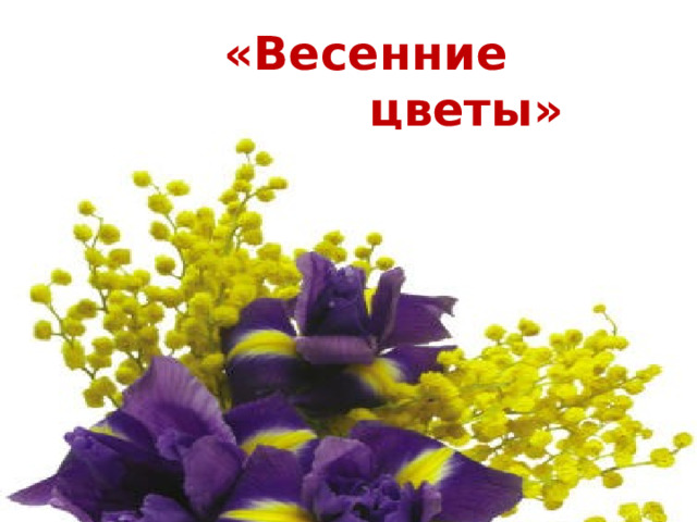 «Весенние  цветы» 