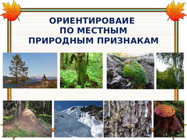 ОРИЕНТИРОВАИЕ ПО МЕСТНЫМ ПРИРОДНЫМ ПРИЗНАКАМ  