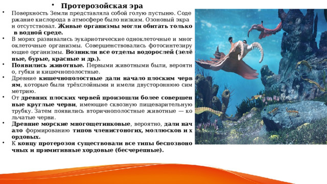 Протерозойская эра Поверхность Земли представляла собой голую пустыню. Содержание кислорода в атмосфере было низким. Озоновый экран отсутствовал.  Живые организмы могли обитать только в водной среде. В морях развивались эукариотические одноклеточные и многоклеточные организмы. Совершенствовались фотосинтезирующие организмы. Возникли все отделы водорослей (зелёные, бурые, красные и др.). Появились животные. Первыми животными были, вероятно, губки и кишечнополостные. Древние кишечнополостные дали начало плоским червям , которые были трёхслойными и имели двустороннюю симметрию.  От древних плоских червей произошли более совершенные круглые черви , имеющие сквозную пищеварительную трубку. Затем появились вторичнополостные животные — кольчатые черви. Древние морские многощетинковые , вероятно, дали начало формированию типов членистоногих, моллюсков и хордовых. К концу протерозоя существовали все типы беспозвоночных и примитивные хордовые (бесчерепные). 