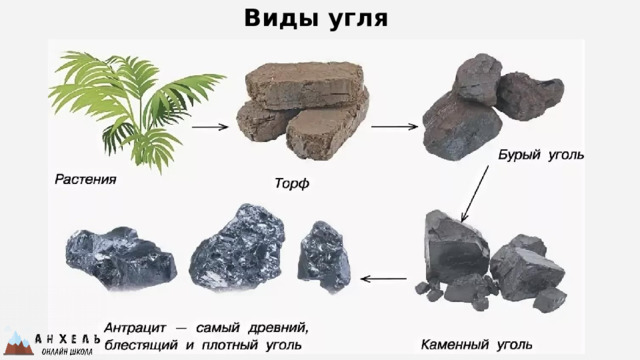 Виды угля 