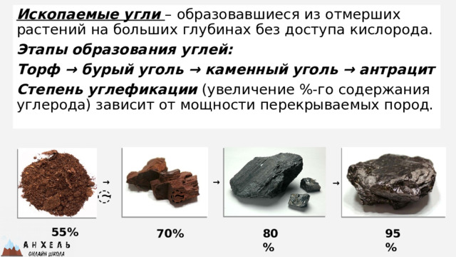 Ископаемые угли – образовавшиеся из отмерших растений на больших глубинах без доступа кислорода. Этапы образования углей: Торф → бурый уголь → каменный уголь → антрацит Степень углефикации (увеличение %-го содержания углерода) зависит от мощности перекрываемых пород. → → → ̴ ̴ 55% 70% 80% 95% 