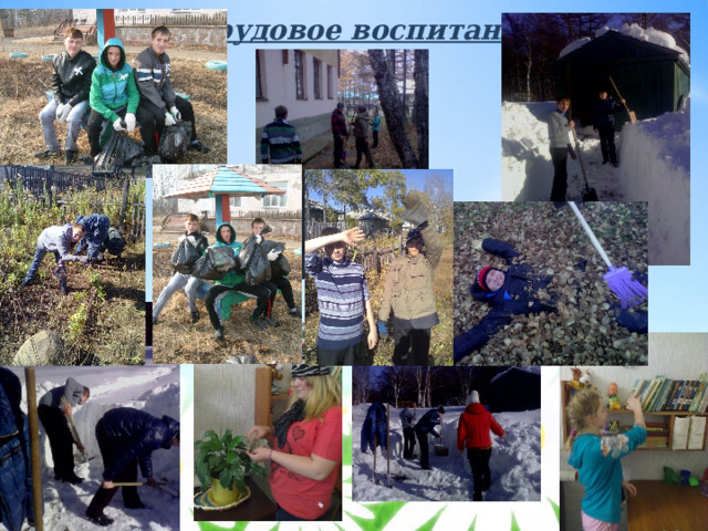 Трудовое воспитание 
