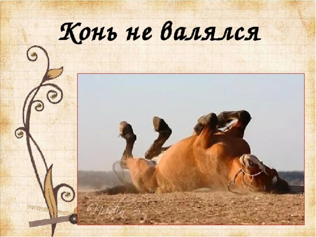 Еще конь не валялся. 