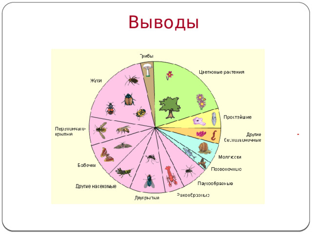 Выводы Птицы – наземные позвоночные животные. Тело птиц приспособлено к полёту .  При размножении птицы откладывают яйца . ??? ??? ??? 