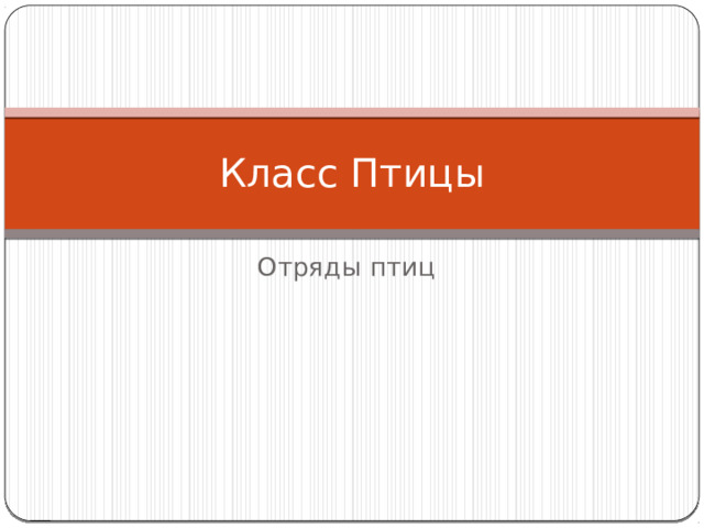 Класс Птицы Отряды птиц 