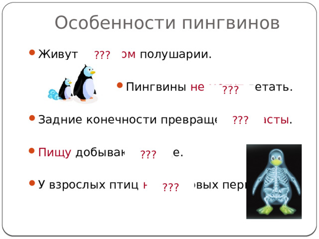 Особенности пингвинов Живут в южном полушарии. Пингвины не могут летать. Задние конечности превращены в ласты . Пищу добывают в воде. У взрослых птиц нет пуховых перьев. ??? ??? ??? ??? ???  