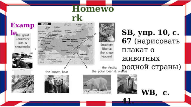 Homework Example SB, упр. 10, с. 67 (нарисовать плакат о животных родной страны)   WB, с. 41. 