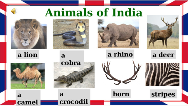 Animals of India a rhino a lion a deer a cobra a crocodile horn stripes a camel 