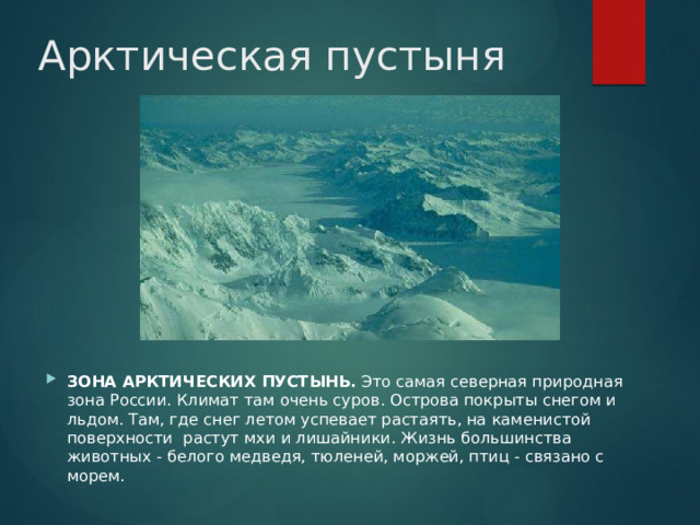 Арктическая пустыня ЗОНА АРКТИЧЕСКИХ ПУСТЫНЬ. Это самая северная природная зона России. Климат там очень суров. Острова покрыты снегом и льдом. Там, где снег летом успевает растаять, на каменистой поверхности  растут мхи и лишайники. Жизнь большинства животных - белого медведя, тюленей, моржей, птиц - связано с морем. 