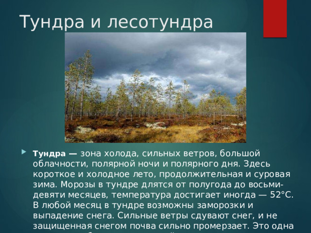 Тундра и лесотундра Тундра — зона холода, сильных ветров, большой облачности, полярной ночи и полярного дня. Здесь короткое и холодное лето, продолжительная и суровая зима. Морозы в тундре длятся от полугода до восьми-девяти месяцев, температура достигает иногда — 52°С. В любой месяц в тундре возможны заморозки и выпадение снега. Сильные ветры сдувают снег, и не защищенная снегом почва сильно промерзает. Это одна из причин образования вечной мерзлоты. 