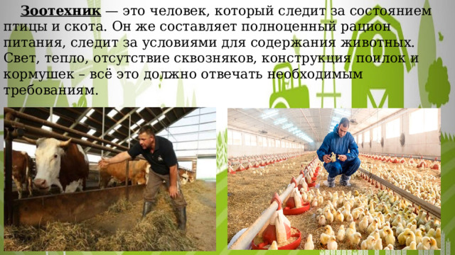  Зоотехник — это человек, который следит за состоянием птицы и скота. Он же составляет полноценный рацион питания, следит за условиями для содержания животных. Свет, тепло, отсутствие сквозняков, конструкция поилок и кормушек – всё это должно отвечать необходимым требованиям. 
