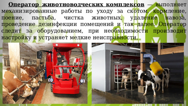  Оператор животноводческих комплексов — выполняет механизированные работы по уходу за скотом, кормление, поение, пастьба, чистка животных, удаление навоза, проведение дезинфекции помещений и так далее. Оператор следит за оборудованием, при необходимости производит настройку и устраняет мелкие неисправности. 