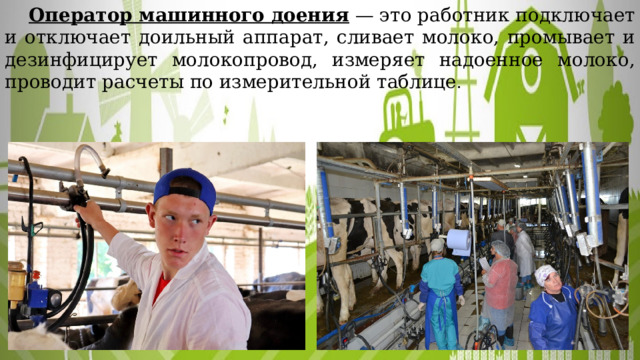  Оператор машинного доения — это работник подключает и отключает доильный аппарат, сливает молоко, промывает и дезинфицирует молокопровод, измеряет надоенное молоко, проводит расчеты по измерительной таблице . 