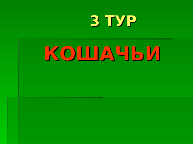  3 ТУР КОШАЧЬИ 