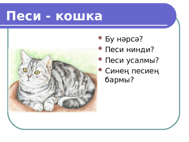 Песи - кошка   Бу нәрсә? Песи нинди? Песи усалмы? Синең песиең бармы?  