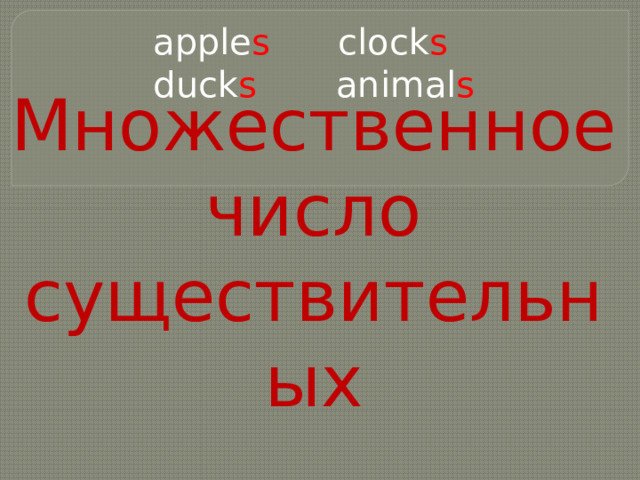 apple s clock s duck s animal s Множественное число существительных 