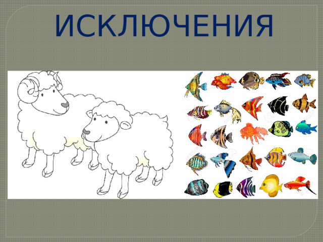ИСКЛЮЧЕНИЯ 