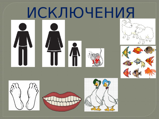 ИСКЛЮЧЕНИЯ 