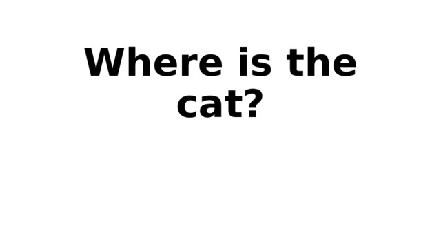Where is the cat? 