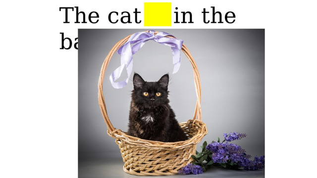 The cat is in the basket 