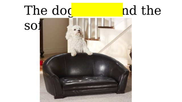 The dog is behind the sofa 