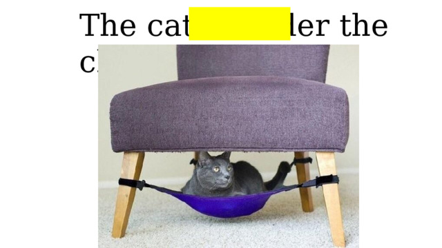 The cat is under the chair 