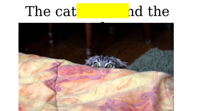The cat is behind the sofa 