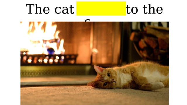 The cat is next to the fire 