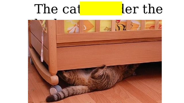 The cat is under the bed 