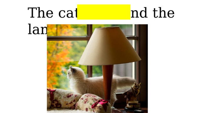 The cat is behind the lamp 